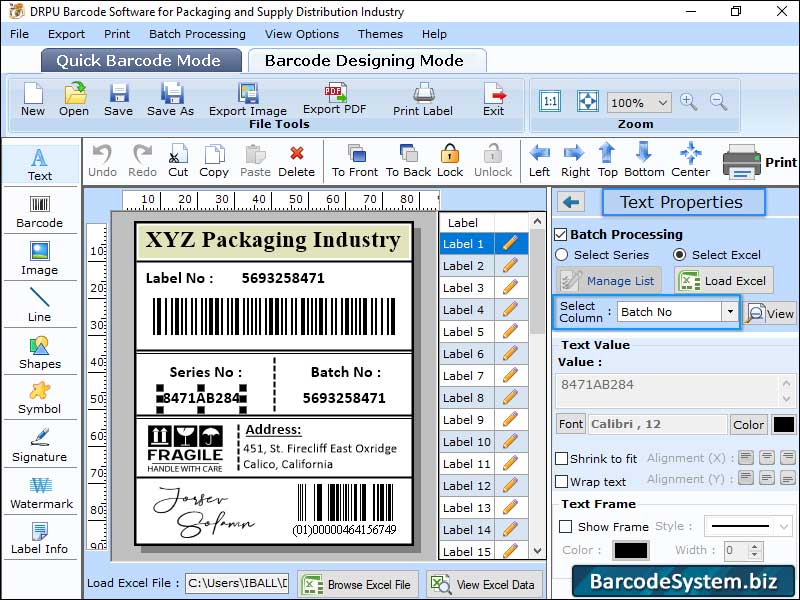 Screenshot of Packaging Barcode Design Application
