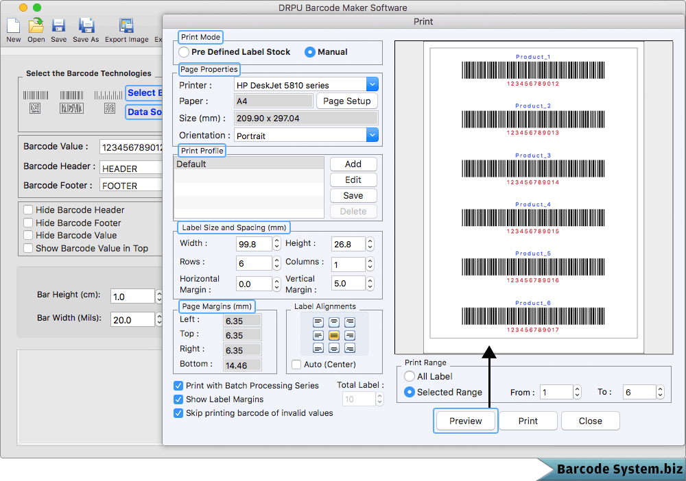 Print Settings